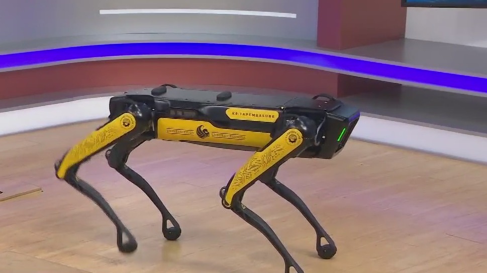 'Tape Measure': Meet UCF's new robotic dog