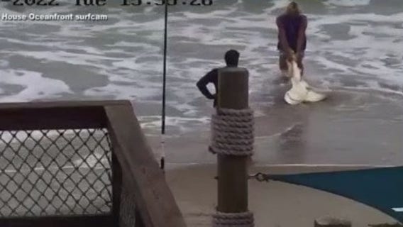 No jail time for Florida shark beater