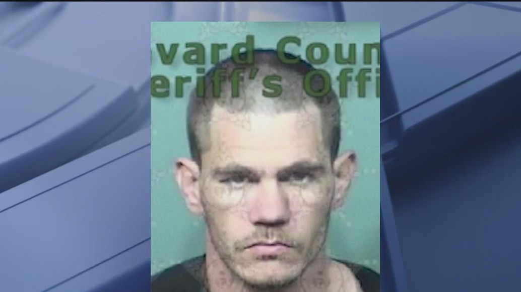 Convicted sex offender arrested, again