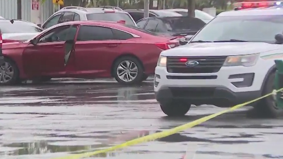 Shots fired outside Celebration Publix