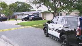 Parachutist dies after landing in yard