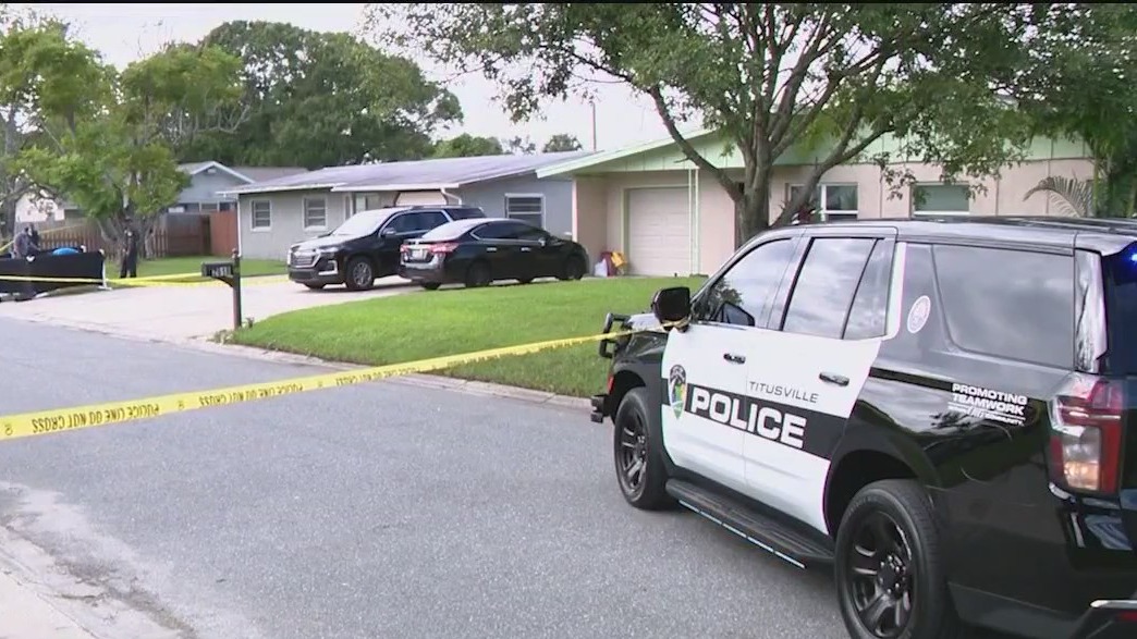 Parachutist dies after landing in yard