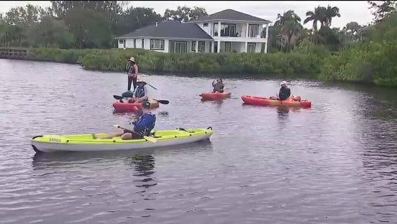 You may see dolphins while kayaking here