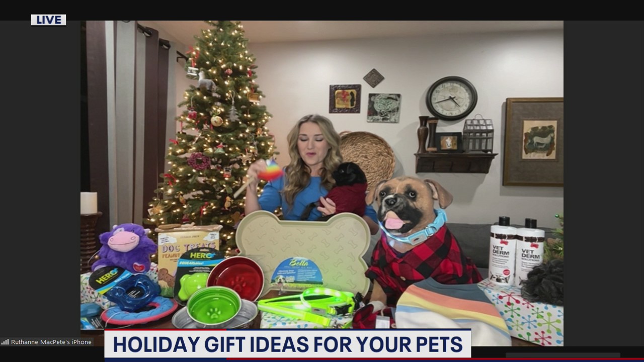 Holiday gift ideas for your pets
