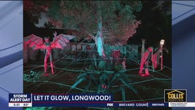 Spooky Halloween House in Longwood