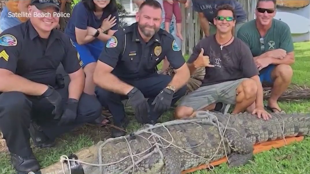 Neighbors torn over crocodile relocation