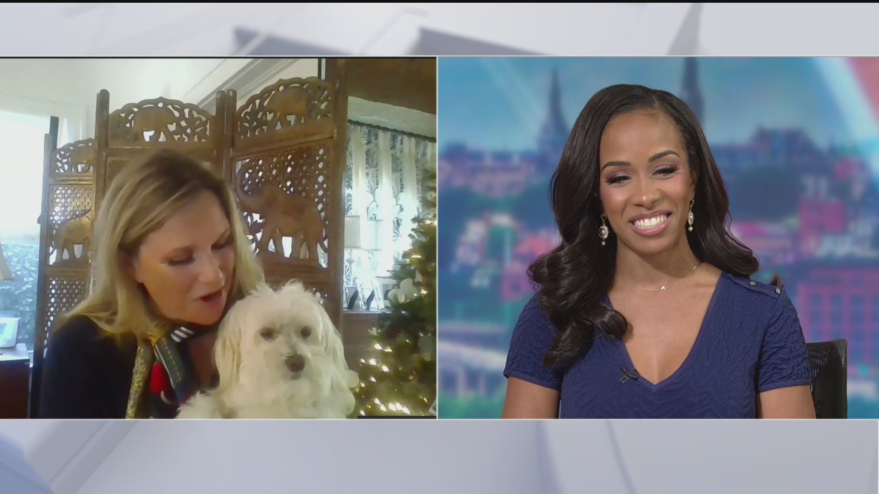 Keeping your pet safe and healthy during the holidays