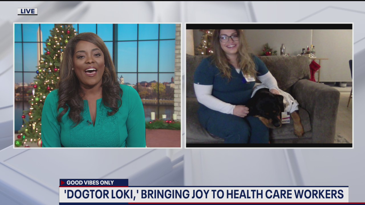Virtual therapy dog brings joy to health care workers