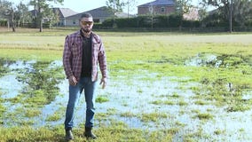 FOX 35 Investigates: Why is DeLand neighborhood flooding?