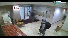 Package thieves assault building employee