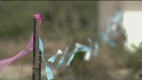 Contractor accused of trimming across property