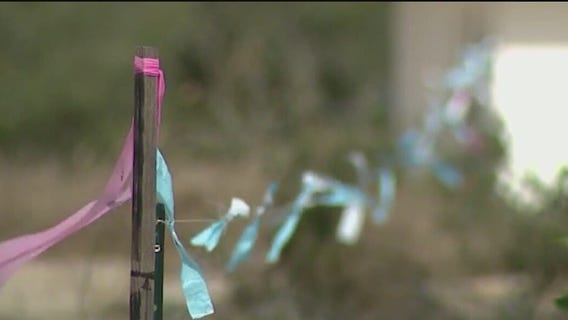 Contractor accused of trimming across property