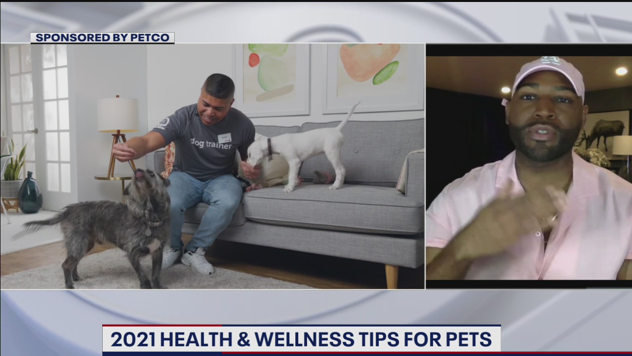 "Queer Eye's" Karamo Brown shares 2021 health and wellness tips for pets
