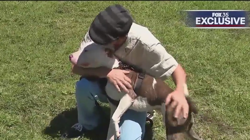 Dog dumped at the compound has new family