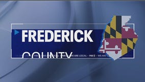 Local breweries highlight FeBREWary offers