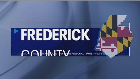 Local breweries highlight FeBREWary offers