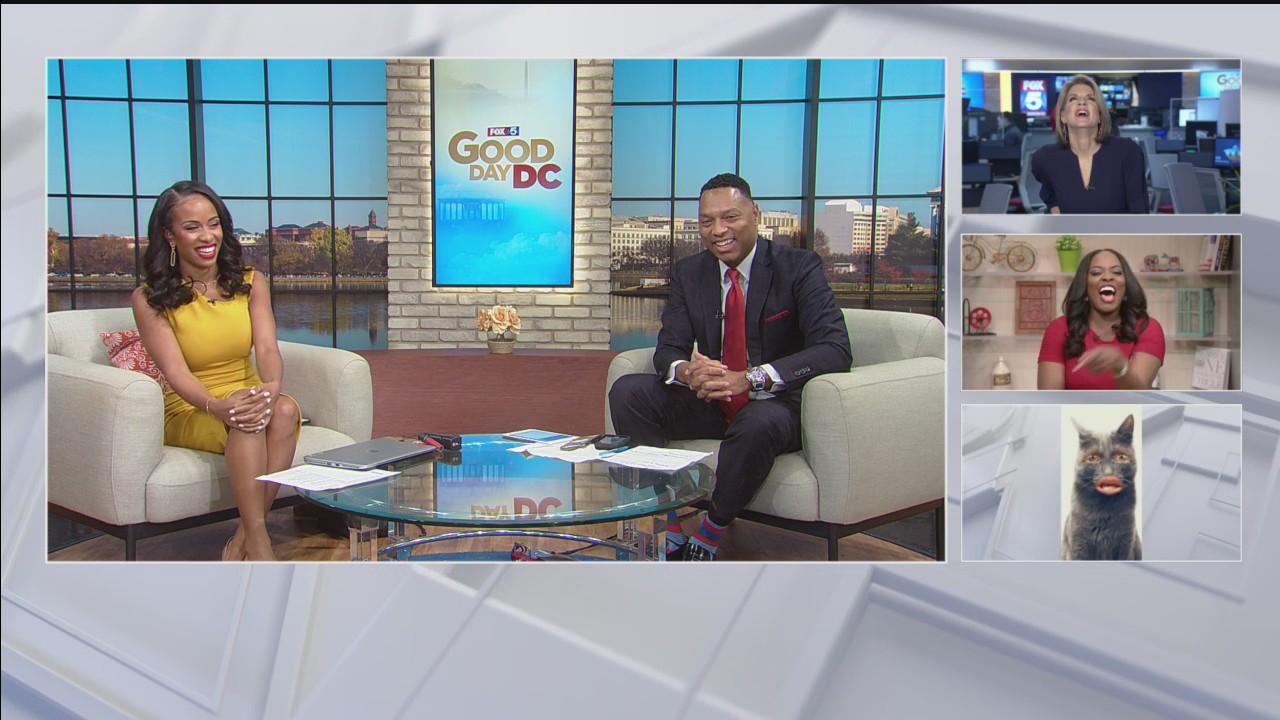 Steve insists "I am not a cat!"