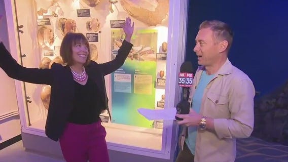 FOX 35's David Martin visits Florida's Natural Museum of History new exhibit