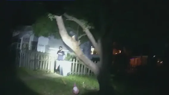 Man accused of firing gun at police