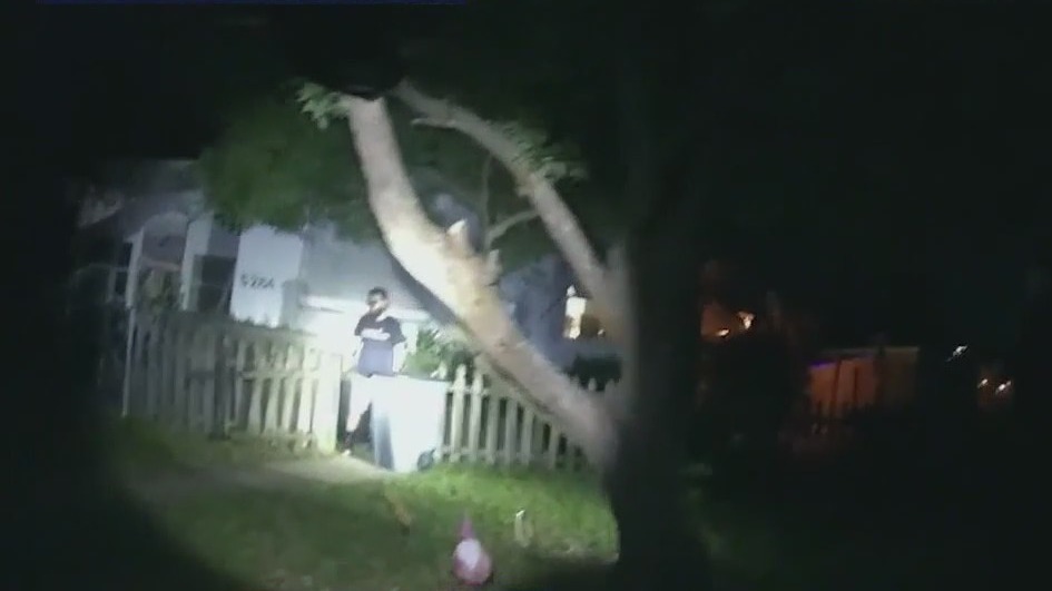 Man accused of firing gun at police