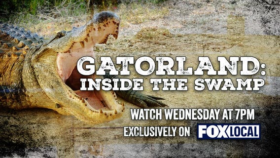 Gatorland: Inside The Swamp (FOX Local Special)