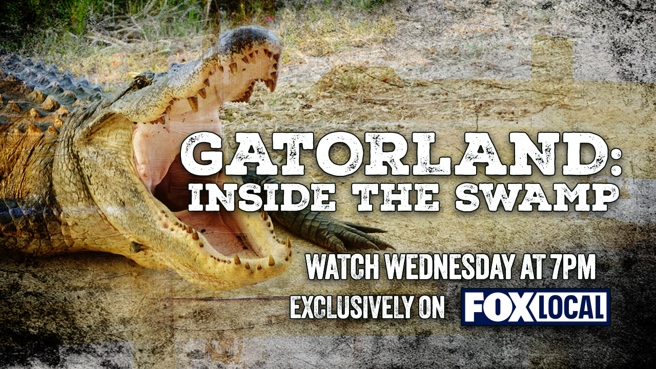 Gatorland: Inside The Swamp (FOX Local Special)