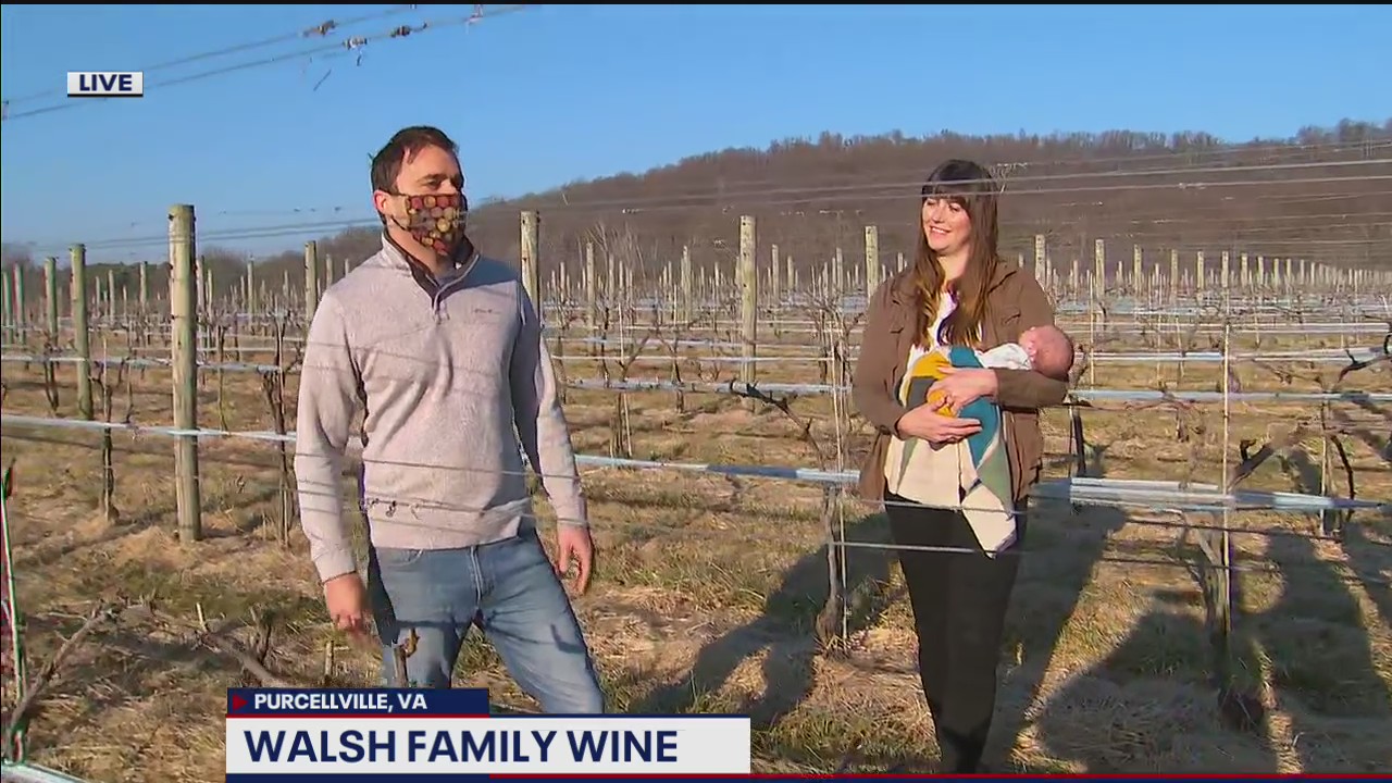 FOX 5 FIELD TRIP: Fun at Walsh Family Wine