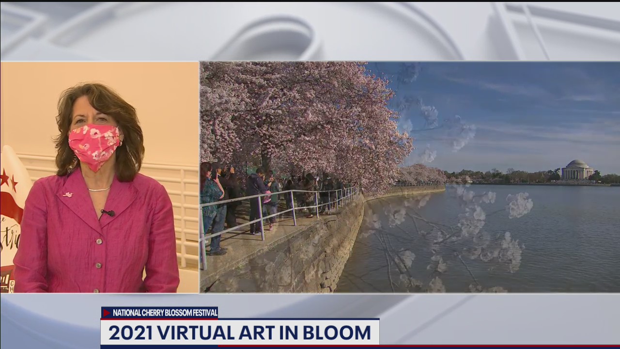 Art in Bloom at the Cherry Blossom Festival