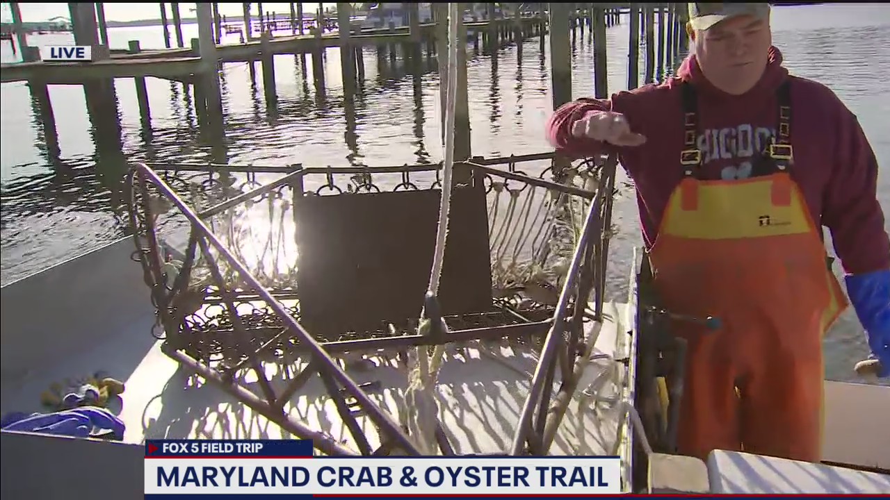 FOX 5 FIELD TRIP: Fun on the Maryland Crab & Oyster Trail