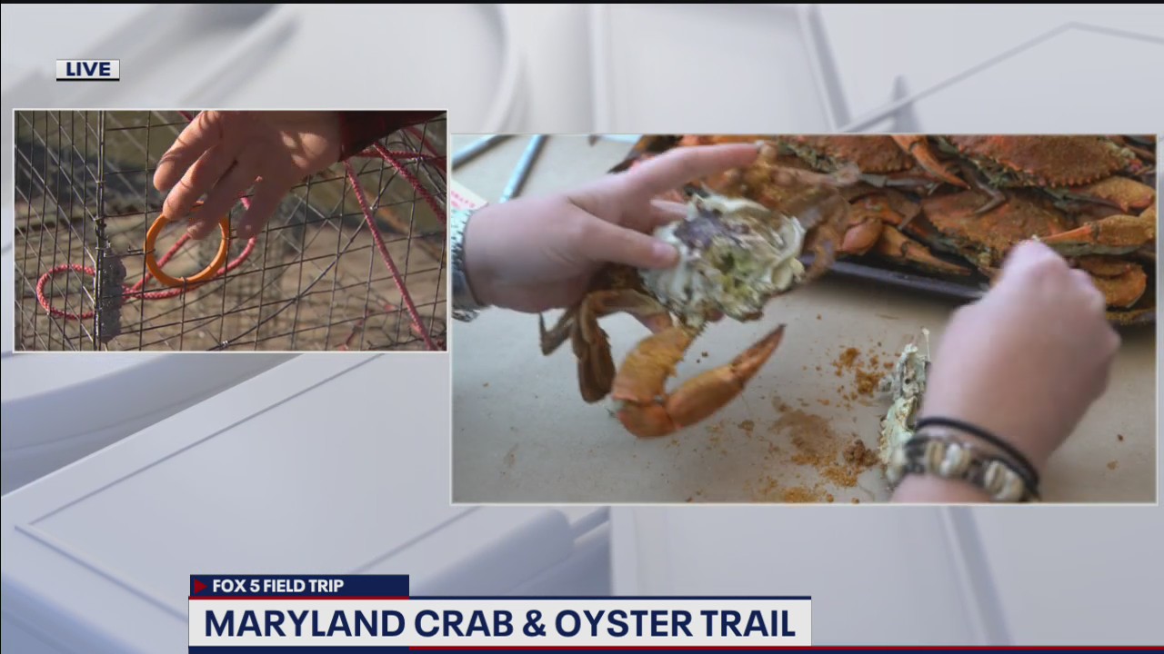 FOX 5 FIELD TRIP: Maryland Crab and Oyster Trail