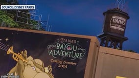 New attractions coming to Disney World