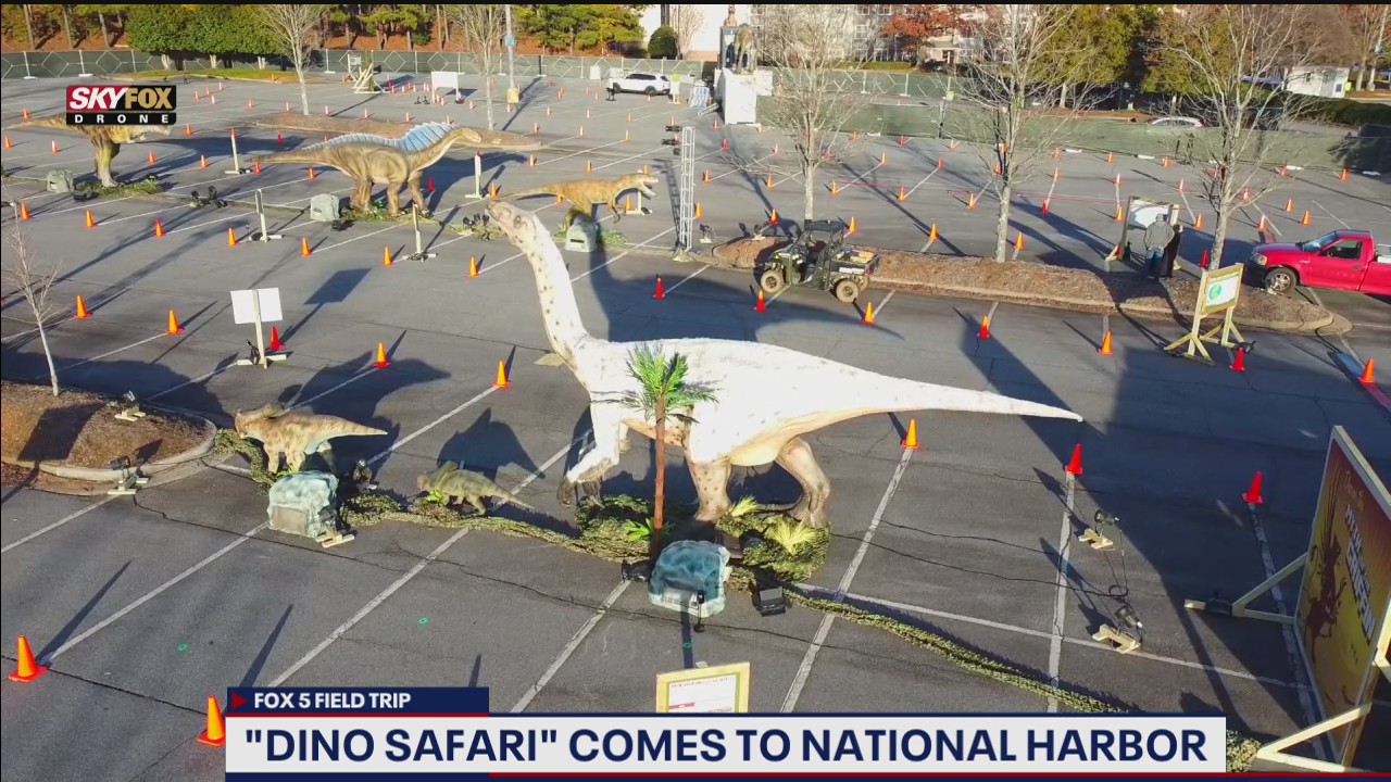 FOX 5 FIELD TRIP: Dino Safari comes to National Harbor