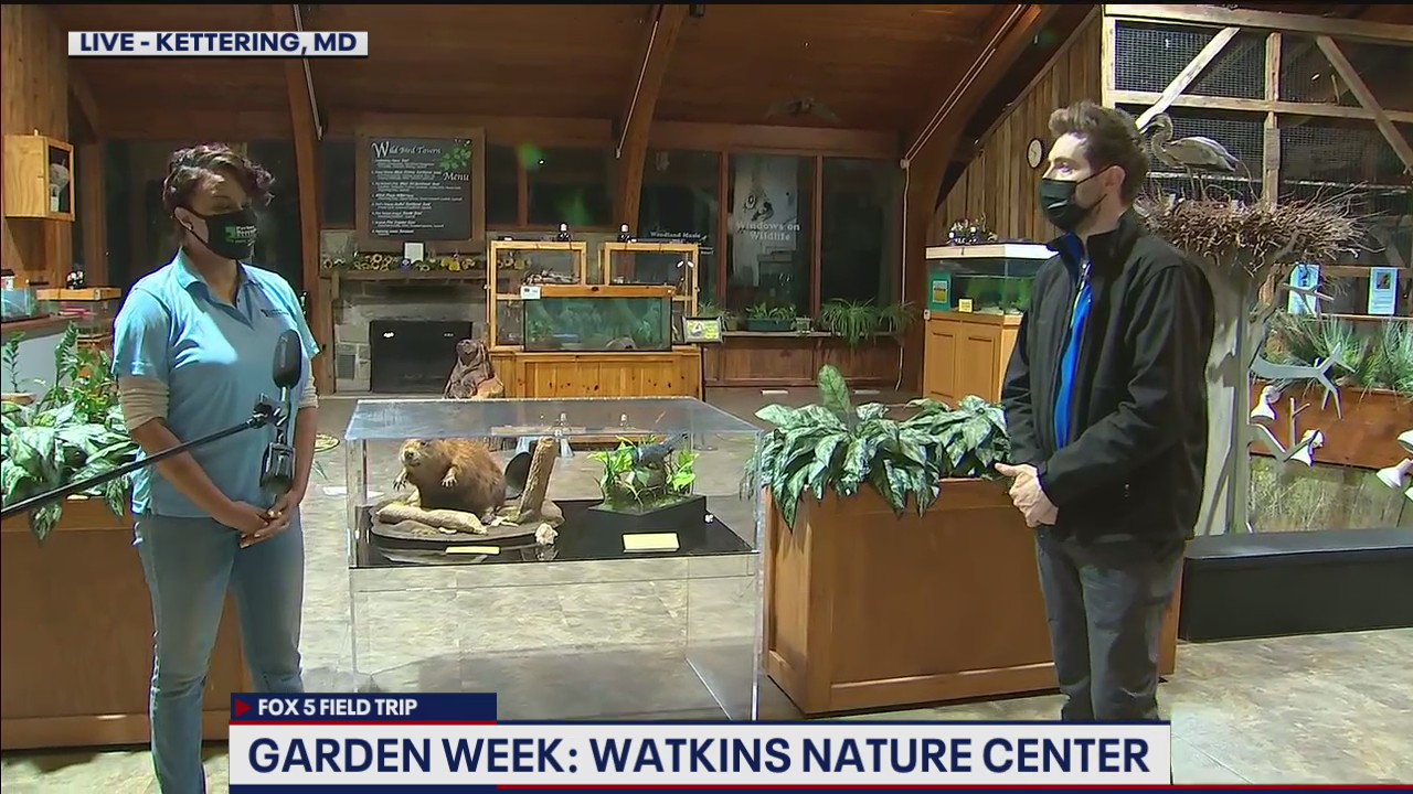 FOX 5 FIELD TRIP: Fun returns to Watkins Nature Center