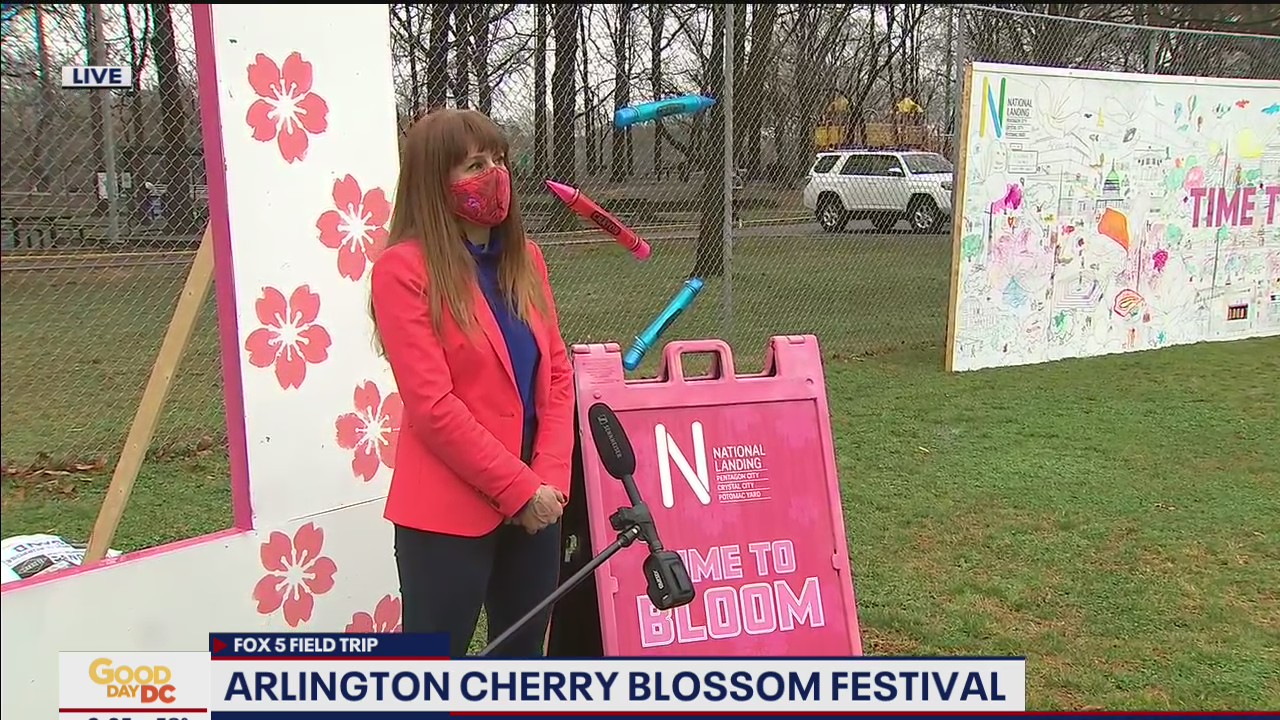 FOX 5 FIELD TRIP: Cherry Blossom Festival in Arlington