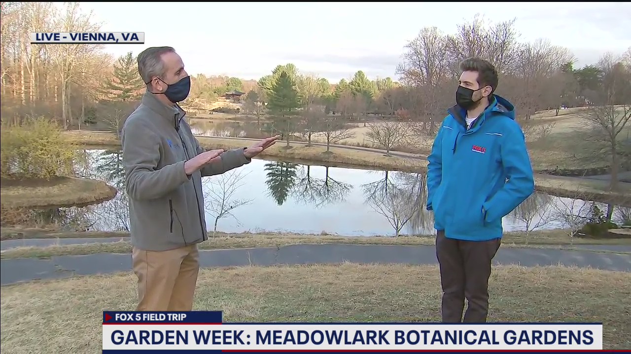 FOX 5 FIELD TRIP: Spring blooms Meadowlark Botanical Gardens