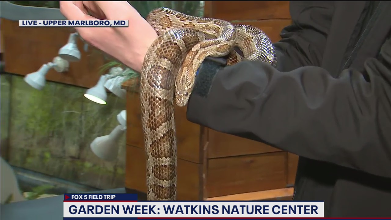 FOX 5 FIELD TRIP: Animal friends at Watkins Nature Center
