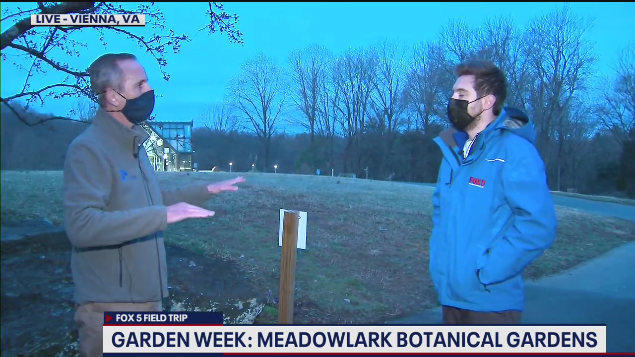FOX 5 FIELD TRIP: Outdoor spaces at Meadowlark Botanical Gardens
