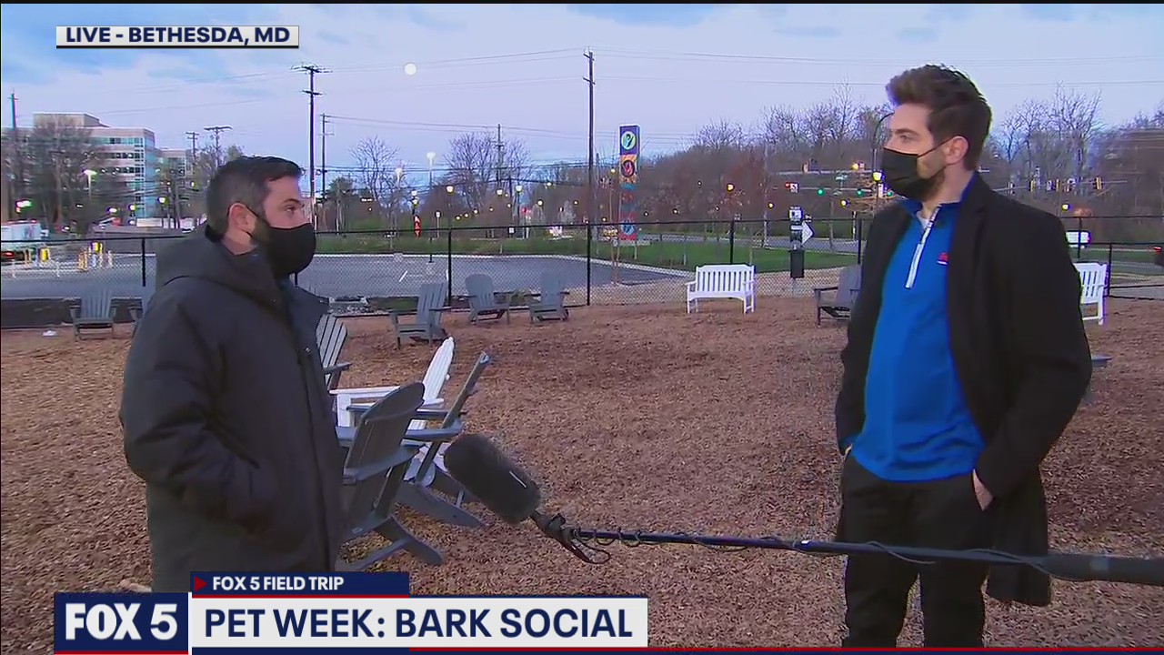 FOX 5 FIELD TRIP: Pawsome fun at Bark Social
