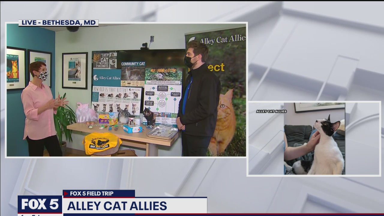 FOX 5 FIELD TRIP: Alley Cat Allies in Bethesda