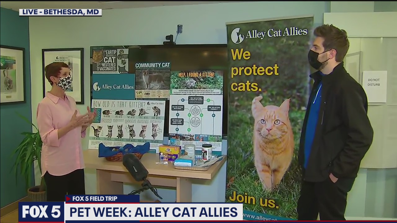 FOX 5 FIELD TRIP: Alley Cat Allies