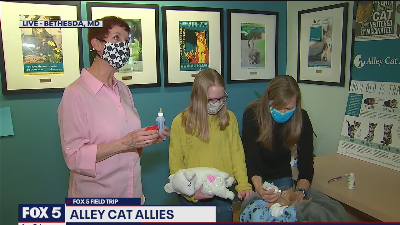 FOX 5 FIELD TRIP: Connecting with Alley Cat Allies