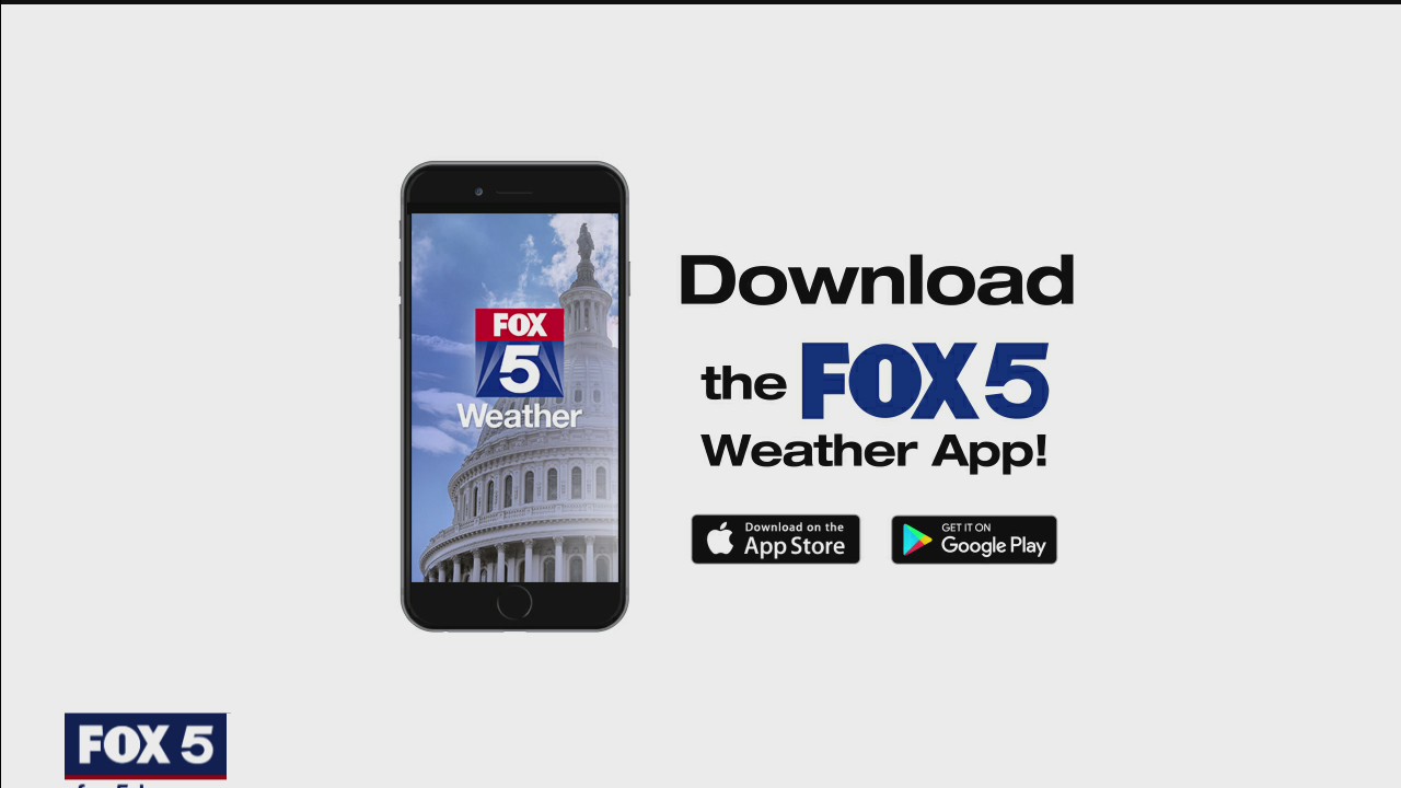 Spring Grooming Tips