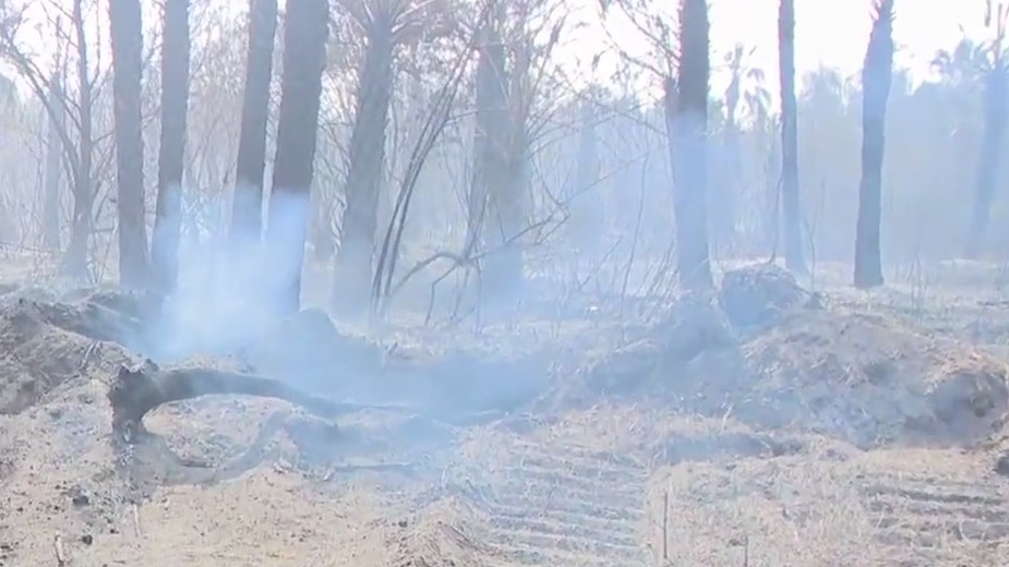 Homes evacuated due to brush fire