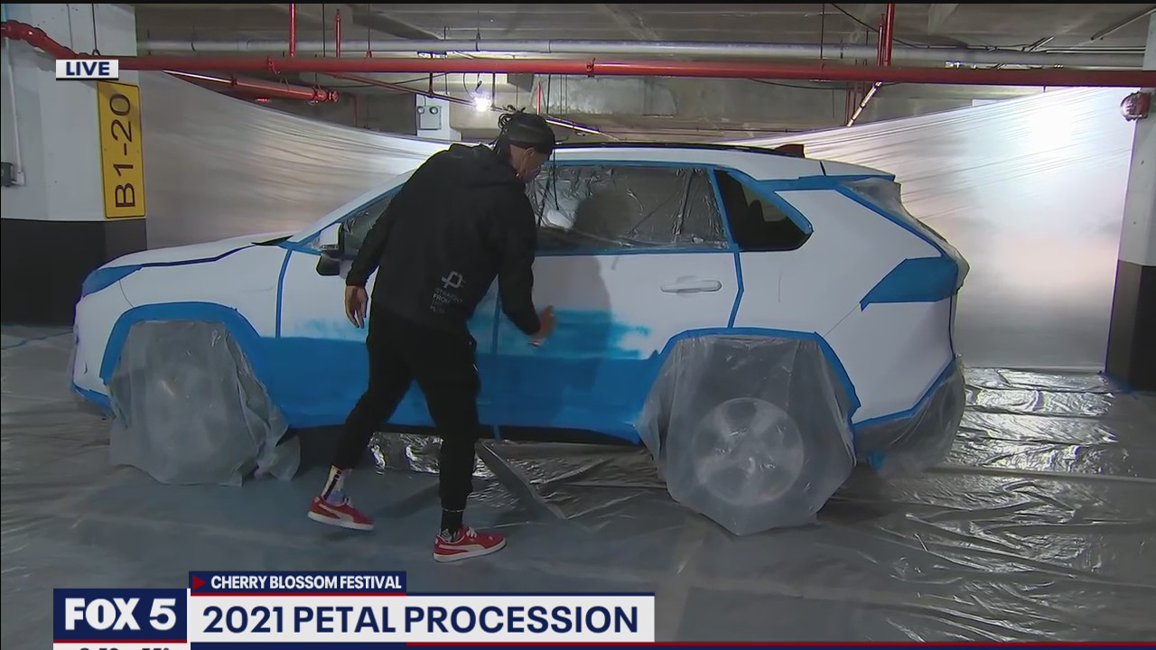 Cherry blossoms in bloom at the Petal Procession!