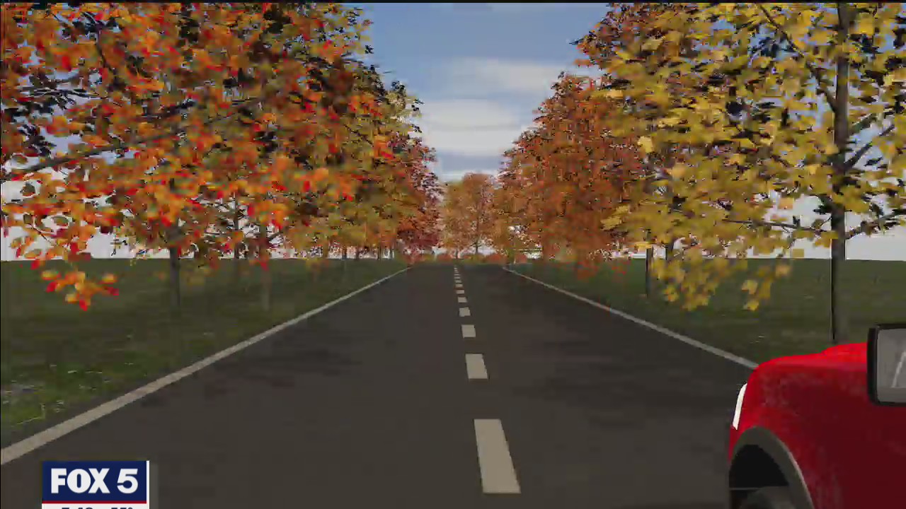 FOX 5 Field Trip to Quartermaine Roasters