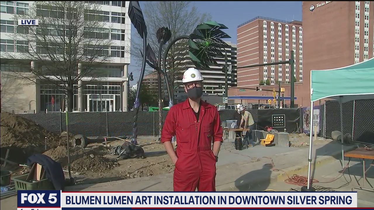 Blumen Lumen art installation part of Silver Spring makeover