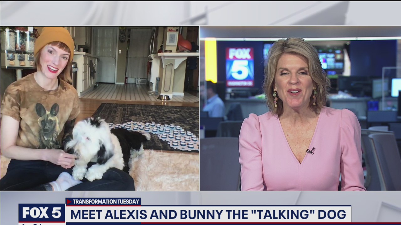 Bunny the Talking Dog and owner Alexis on internet fame and more