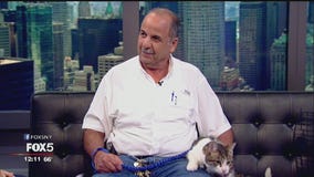 Man rescues cats from cars