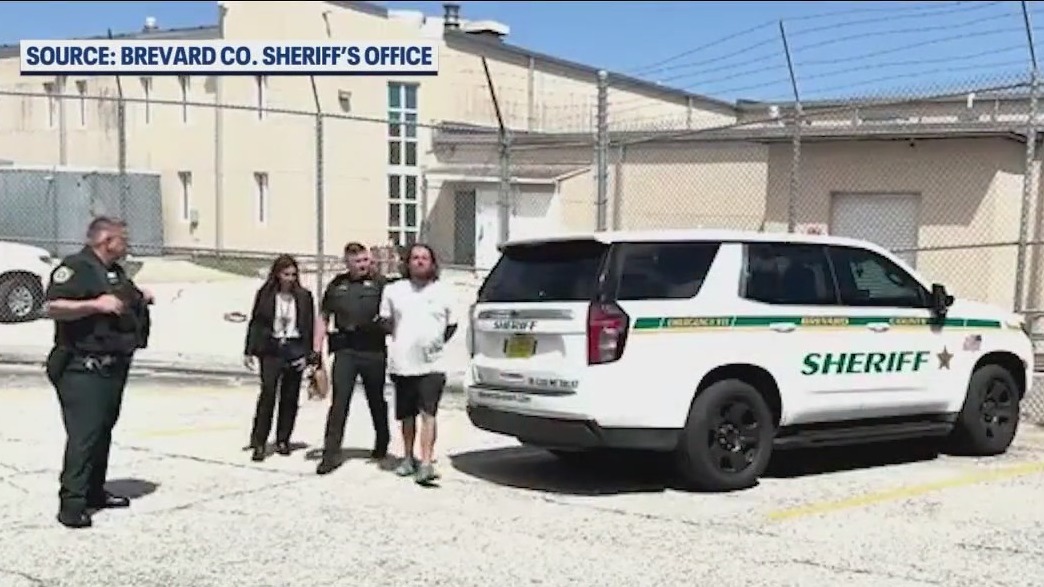 Second arrest made in alleged Brevard puppy mill | FOX 51 Gainesville