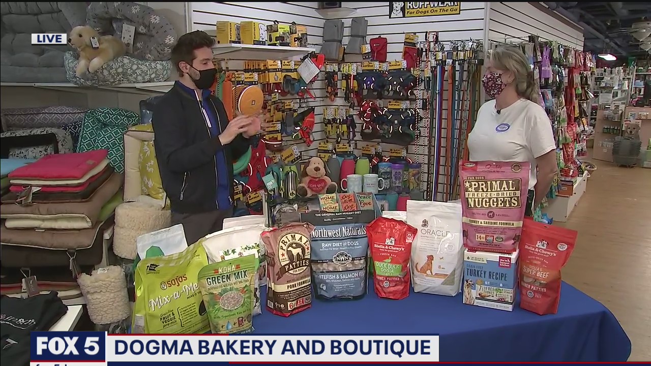 FOX 5 FIELD TRIP: Celebrating pets at Dogma Bakery and Boutique